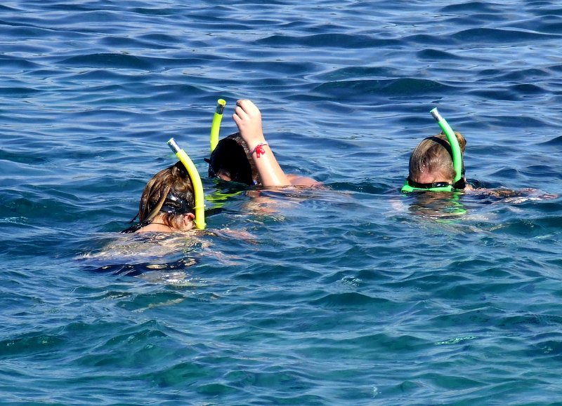 Snorkelling a l'ile aux chat