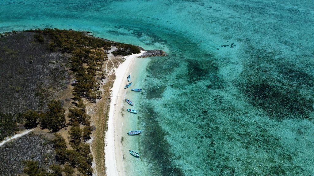 DCIM100MEDIADJI_0131.JPG ile-aux-chat-ile-rodrigues
